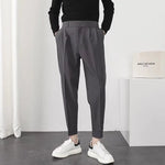 Carregue a imagem no visualizador da Galeria, Fashion Men Casual Pants Elastic Waist Small Feet Slim Korean Style Pleated Tapered Male Blazer Pants Trousers Streetwear  Amaijoin
