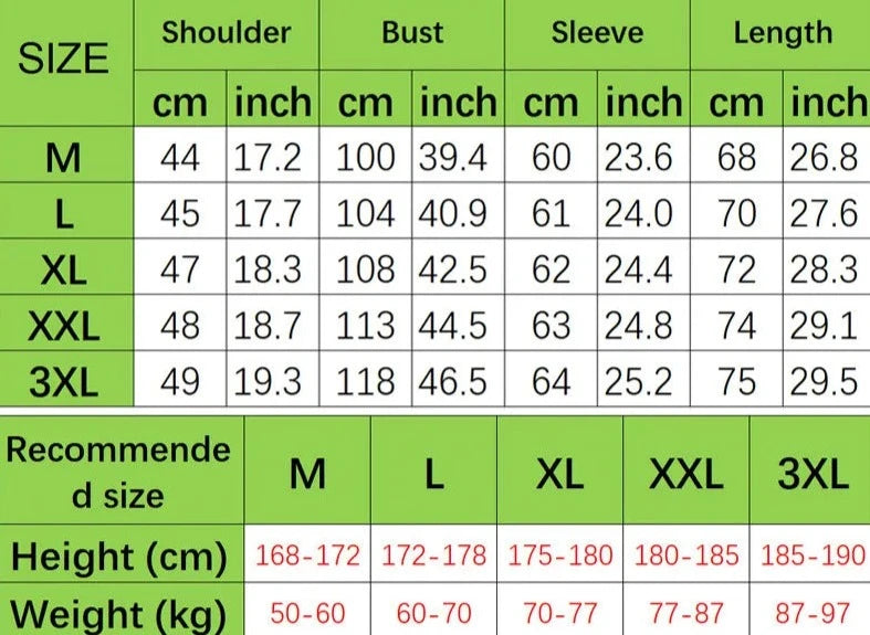 5-color Men's Solid Color Casual Fashion Long Sleeved Polo T-shirt  Amaijoin