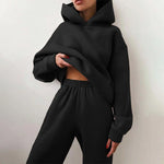 Carregue a imagem no visualizador da Galeria, Winter Women Fleeced Tracksuits Casual Hoodie and Sweatpants Suit Fashion Two Pieces Set Hooded Sweatshirt Sport Jogger Outfits  Amaijoin
