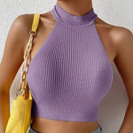 Carregue a imagem no visualizador da Galeria, Knit Sleeveless Halter Tops for Women Basics Solid Slim Fitted Crop Womens Turtleneck Ribbed Vest Y2K High Neck Tank Tops  Amaijoin
