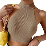 Carregue a imagem no visualizador da Galeria, Knit Sleeveless Halter Tops for Women Basics Solid Slim Fitted Crop Womens Turtleneck Ribbed Vest Y2K High Neck Tank Tops  Amaijoin
