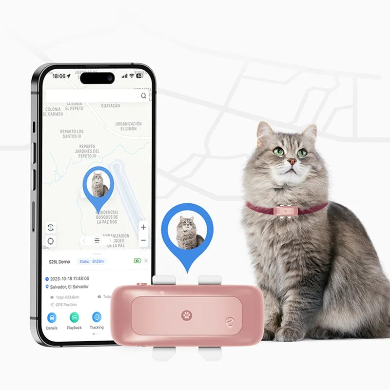 Custom Cheap Good Price Pet Smart Location Tracking And Activity Tracker For Dog Cat Locator Tracer  Amaijoin